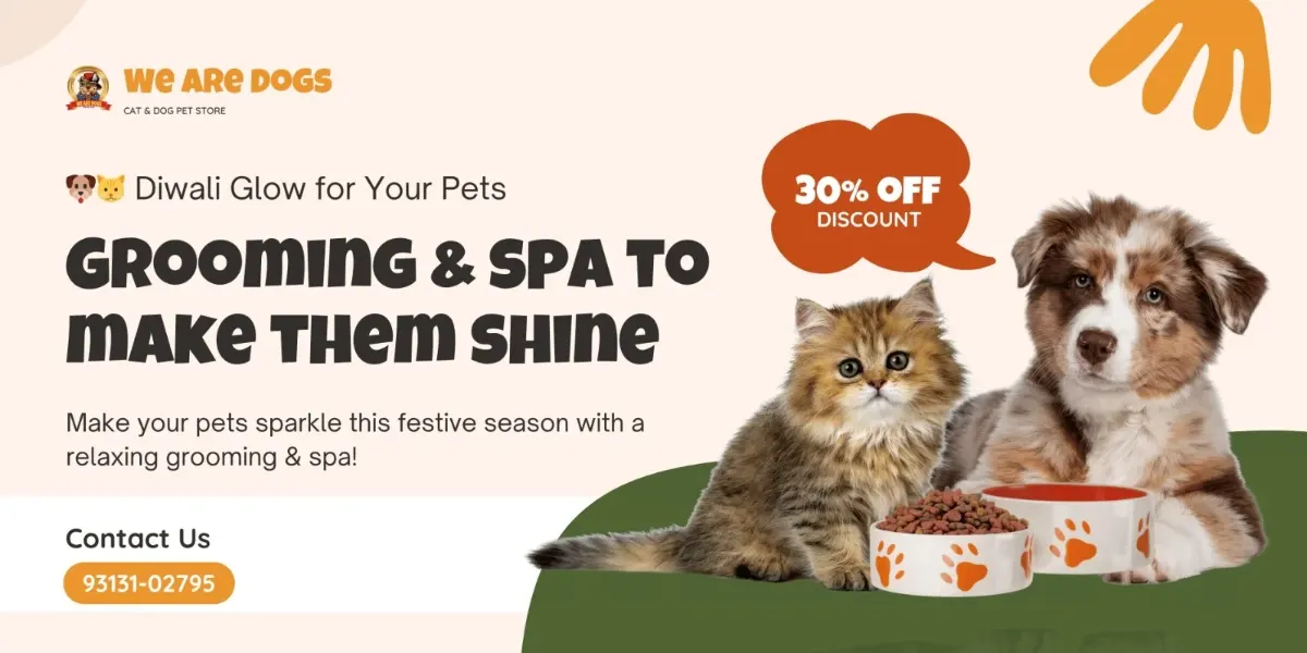 We Are Dogs festive grooming and spa promotional banner featuring a cat and dog, advertising 30 percent off. Confirm current offer details with the team.